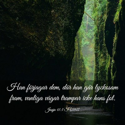 Picture 03 - Jesaja 41:3 SV1917 - Han förjagar dem, där han går lyckosam fram, - Bible Verse Picture