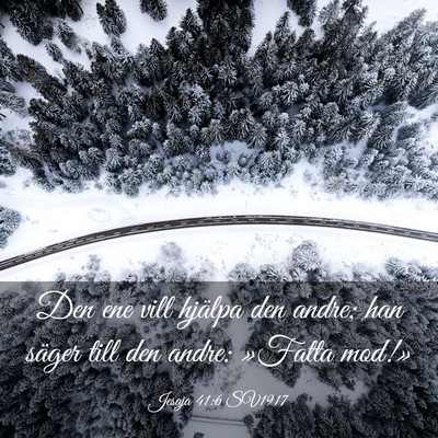 Picture 03 - Jesaja 41:6 SV1917 - Den ene vill hjälpa den andre; han säger till - Bible Verse Picture