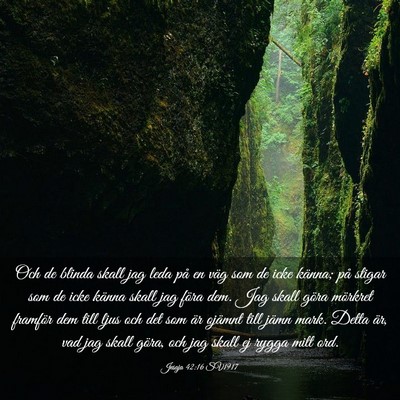 Picture 03 - Jesaja 42:16 SV1917 - Och de blinda skall jag leda på en väg som de - Bible Verse Picture