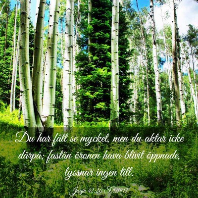 Picture 03 - Jesaja 42:20 SV1917 - Du har fått se mycket, men du aktar icke - Bible Verse Picture