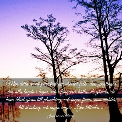 Picture 03 - Jesaja 42:22 SV1917 - Men detta är ett plundrat och skövlat folk; - Bible Verse Picture