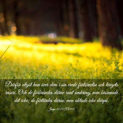 Picture 03 - Jesaja 42:25 SV1917 - Därför utgöt han över dem i sin vrede - Bible Verse Picture