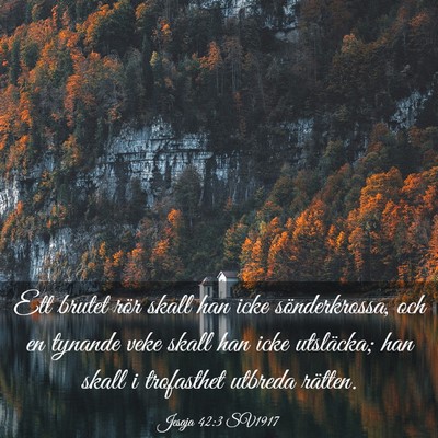 Picture 03 - Jesaja 42:3 SV1917 - Ett brutet rör skall han icke sönderkrossa, och - Bible Verse Picture