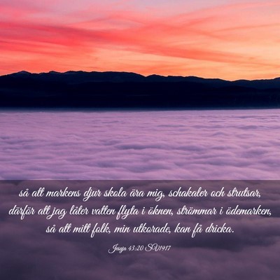 Picture 03 - Jesaja 43:20 SV1917 - så att markens djur skola ära mig, schakaler - Bible Verse Picture