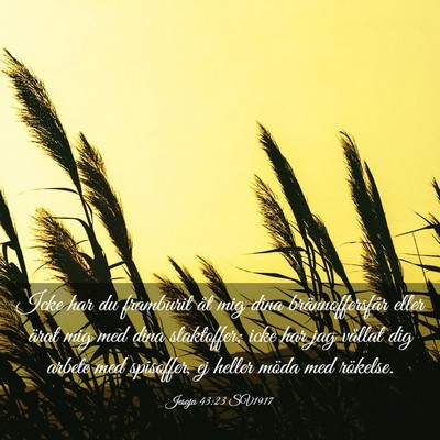 Picture 03 - Jesaja 43:23 SV1917 - Icke har du framburit åt mig dina - Bible Verse Picture
