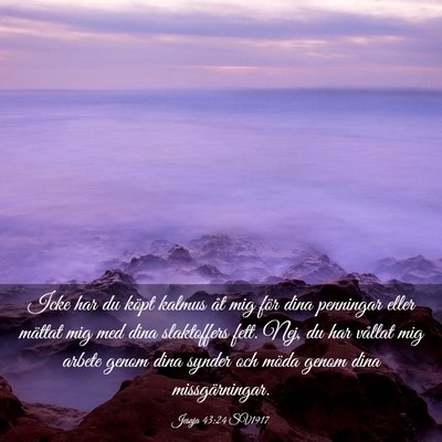 Picture 03 - Jesaja 43:24 SV1917 - Icke har du köpt kalmus åt mig för dina - Bible Verse Picture