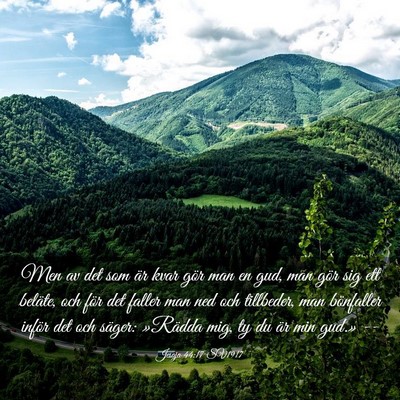 Picture 03 - Jesaja 44:17 SV1917 - Men av det som är kvar gör man en gud, man gör - Bible Verse Picture