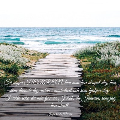 Picture 03 - Jesaja 44:2 SV1917 - Så säger HERREN, han som har skapat dig, han - Bible Verse Picture