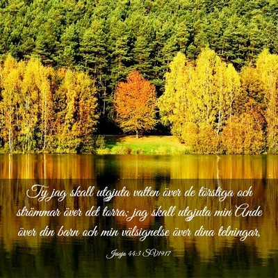 Picture 03 - Jesaja 44:3 SV1917 - Ty jag skall utgjuta vatten över de törstiga - Bible Verse Picture