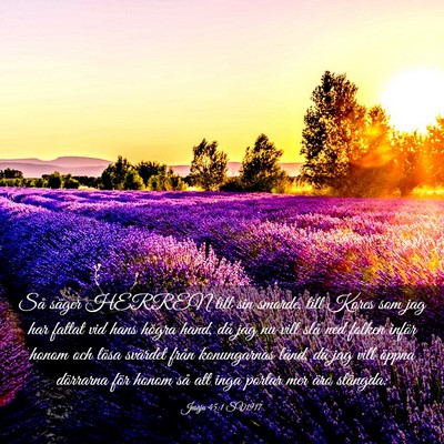 Picture 03 - Jesaja 45:1 SV1917 - Så säger HERREN till sin smorde, till Kores som - Bible Verse Picture