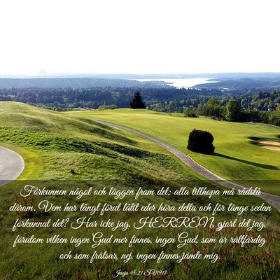 Picture 03 - Jesaja 45:21 SV1917 - Förkunnen något och läggen fram det; alla - Bible Verse Picture