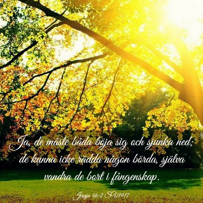 Picture 03 - Jesaja 46:2 SV1917 - Ja, de måste båda böja sig och sjunka ned; de - Bible Verse Picture
