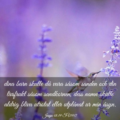 Picture 03 - Jesaja 48:19 SV1917 - dina barn skulle då vara såsom sanden och din - Bible Verse Picture