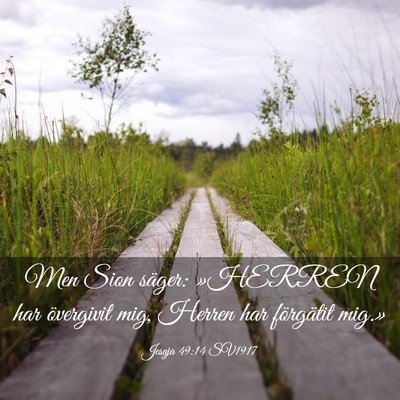 Picture 03 - Jesaja 49:14 SV1917 - Men Sion säger: »HERREN har övergivit mig, - Bible Verse Picture