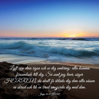 Picture 03 - Jesaja 49:18 SV1917 - Lyft upp dina ögon och se dig omkring: alla - Bible Verse Picture