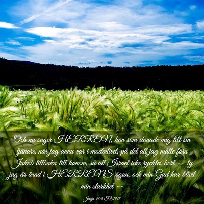 Picture 03 - Jesaja 49:5 SV1917 - Och nu säger HERREN, han som danade mig till sin - Bible Verse Picture