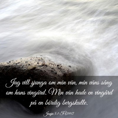 Picture 03 - Jesaja 5:1 SV1917 - Jag vill sjunga om min vän, min väns sång om - Bible Verse Picture