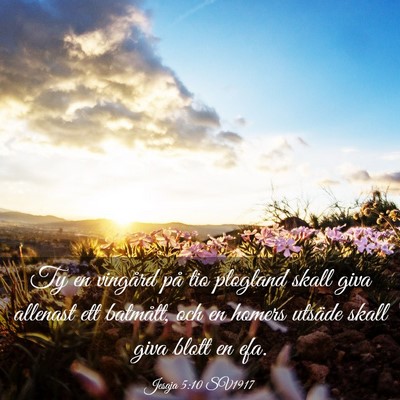 Picture 03 - Jesaja 5:10 SV1917 - Ty en vingård på tio plogland skall giva - Bible Verse Picture