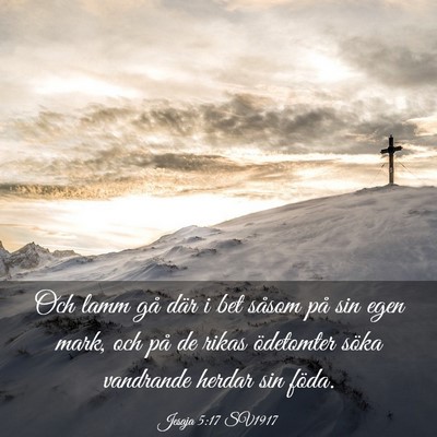 Picture 03 - Jesaja 5:17 SV1917 - Och lamm gå där i bet såsom på sin egen mark, - Bible Verse Picture