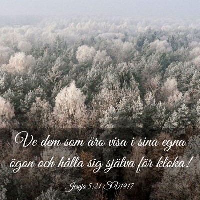 Picture 03 - Jesaja 5:21 SV1917 - Ve dem som äro visa i sina egna ögon och hålla - Bible Verse Picture
