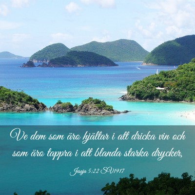 Picture 03 - Jesaja 5:22 SV1917 - Ve dem som äro hjältar i att dricka vin och som - Bible Verse Picture