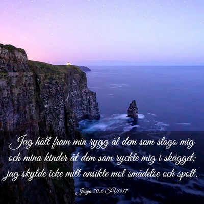 Picture 03 - Jesaja 50:6 SV1917 - Jag höll fram min rygg åt dem som slogo mig och - Bible Verse Picture