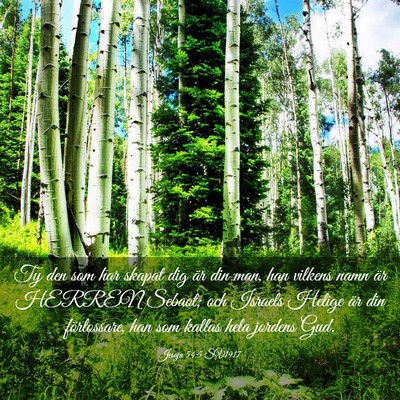 Picture 03 - Jesaja 54:5 SV1917 - Ty den som har skapat dig är din man, han - Bible Verse Picture