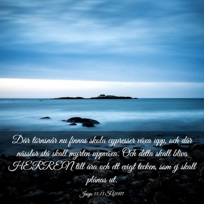 Picture 03 - Jesaja 55:13 SV1917 - Där törnsnår nu finnas skola cypresser växa - Bible Verse Picture