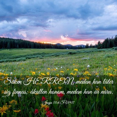 Picture 03 - Jesaja 55:6 SV1917 - Söken HERREN, medan han låter sig finnas; - Bible Verse Picture