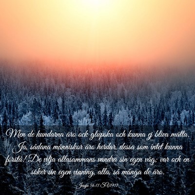 Picture 03 - Jesaja 56:11 SV1917 - Men de hundarna äro ock glupska och kunna ej - Bible Verse Picture