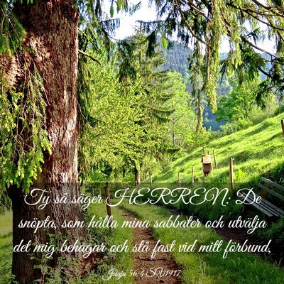 Picture 03 - Jesaja 56:4 SV1917 - Ty så säger HERREN: De snöpta, som hålla mina - Bible Verse Picture