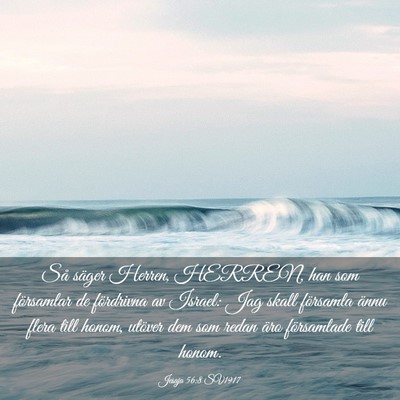 Picture 03 - Jesaja 56:8 SV1917 - Så säger Herren, HERREN, han som församlar de - Bible Verse Picture