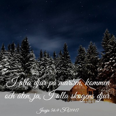 Picture 03 - Jesaja 56:9 SV1917 - I alla djur på marken, kommen och äten, ja, I - Bible Verse Picture