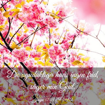 Picture 03 - Jesaja 57:21 SV1917 - De ogudaktiga hava ingen frid, säger min - Bible Verse Picture