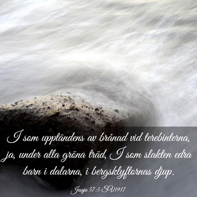 Picture 03 - Jesaja 57:5 SV1917 - I som upptändens av brånad vid terebinterna, - Bible Verse Picture