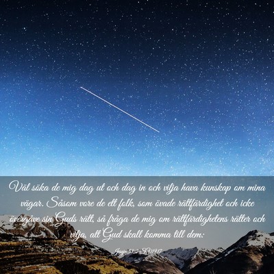 Picture 03 - Jesaja 58:2 SV1917 - Väl söka de mig dag ut och dag in och vilja - Bible Verse Picture
