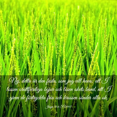 Picture 03 - Jesaja 58:6 SV1917 - Nej, detta är den fasta, som jag vill hava: att - Bible Verse Picture