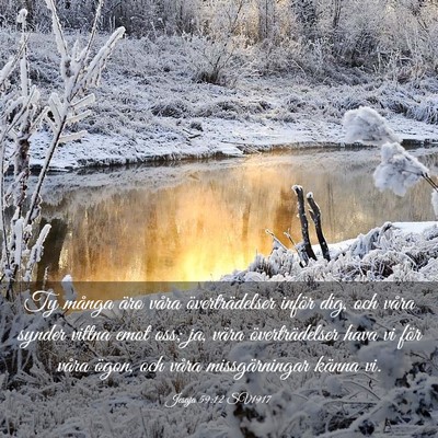 Picture 03 - Jesaja 59:12 SV1917 - Ty många äro våra överträdelser inför dig, - Bible Verse Picture