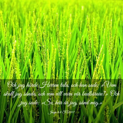 Picture 03 - Jesaja 6:8 SV1917 - Och jag hörde Herren tala, och han sade: »Vem - Bible Verse Picture