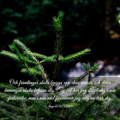 Picture 03 - Jesaja 60:10 SV1917 - Och främlingar skola bygga upp dina murar, och - Bible Verse Picture