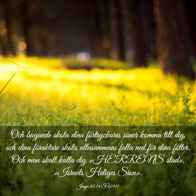 Picture 03 - Jesaja 60:14 SV1917 - Och bugande skola dina förtryckares söner komma - Bible Verse Picture