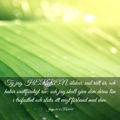 Picture 03 - Jesaja 61:8 SV1917 - Ty jag, HERREN, älskar, vad rätt är, och hatar - Bible Verse Picture