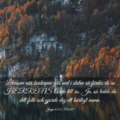Picture 03 - Jesaja 63:14 SV1917 - Likasom när boskapen går ned i dalen så - Bible Verse Picture