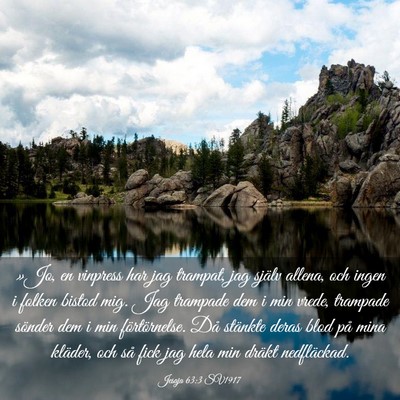 Picture 03 - Jesaja 63:3 SV1917 - »Jo, en vinpress har jag trampat, jag själv - Bible Verse Picture