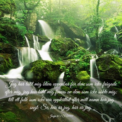 Picture 03 - Jesaja 65:1 SV1917 - Jag har låtit mig bliva uppenbar för dem som - Bible Verse Picture