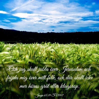 Picture 03 - Jesaja 65:19 SV1917 - Och jag skall jubla över Jerusalem och fröjda - Bible Verse Picture