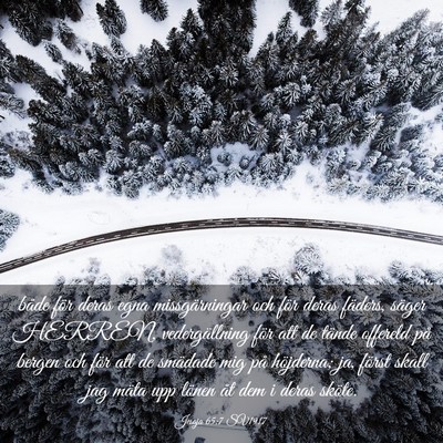 Picture 03 - Jesaja 65:7 SV1917 - både för deras egna missgärningar och för - Bible Verse Picture