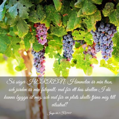 Picture 03 - Jesaja 66:1 SV1917 - Så säger HERREN: Himmelen är min tron, och - Bible Verse Picture