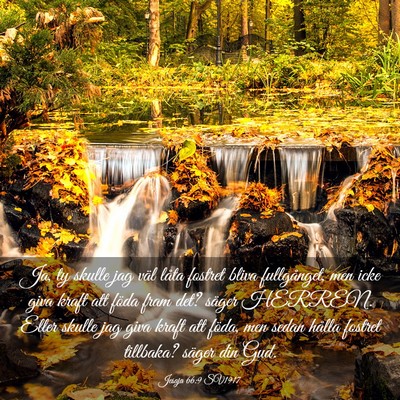 Picture 03 - Jesaja 66:9 SV1917 - Ja, ty skulle jag väl låta fostret bliva - Bible Verse Picture