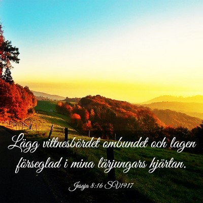 Picture 03 - Jesaja 8:16 SV1917 - Lägg vittnesbördet ombundet och lagen - Bible Verse Picture